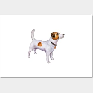 Jack Russell Terrier Watercolor Art Posters and Art